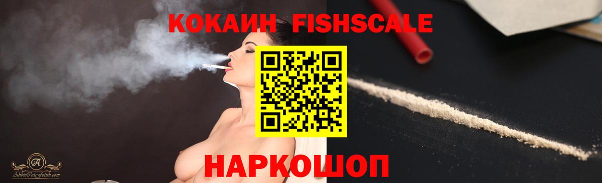 COCAIN Fish Scale  Вход с VPN  Кулебаки 