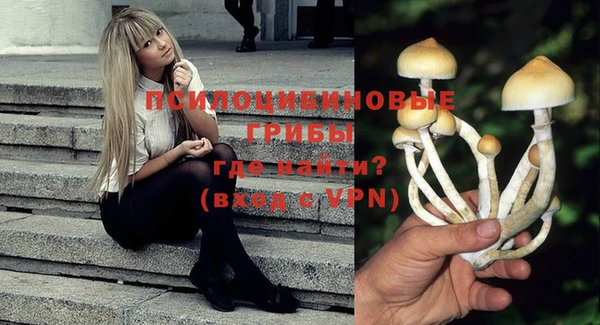 а пвп мука Ладушкин