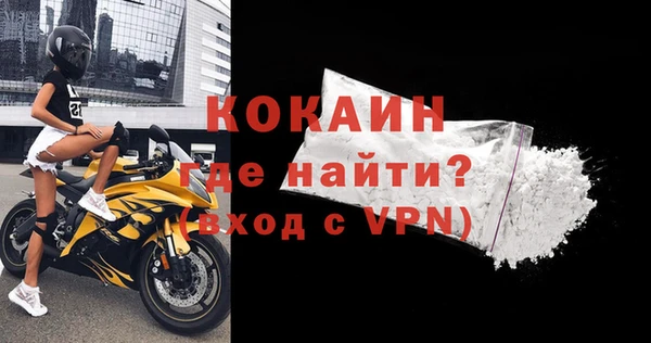 ГАЛЛЮЦИНОГЕННЫЕ ГРИБЫ Кукмор