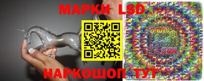 гашик Будённовск