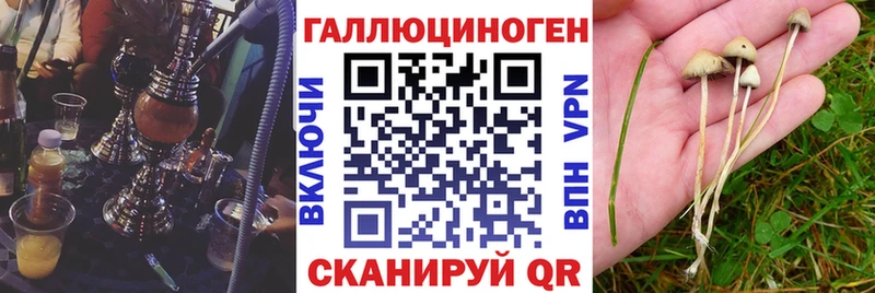 хочу наркоту  Кулебаки  Галлюциногенные грибы прущие грибы 