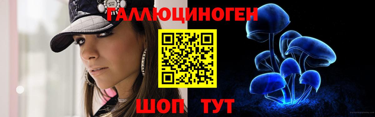 купить наркоту  Псилоцибиновые грибы Cubensis  Вход с VPN  Кулебаки 